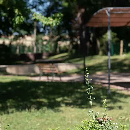 Oda ve Kahvaltı Ferme Marie Helene Ittlenheim