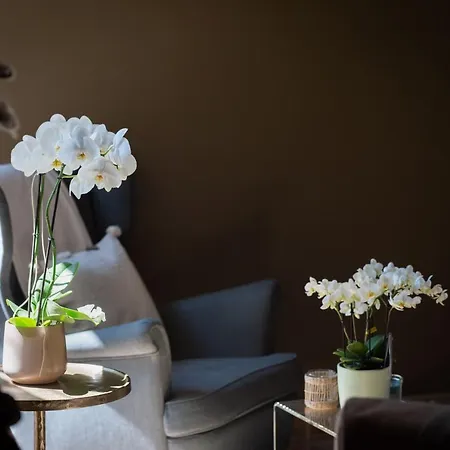 Oda ve Kahvaltı Ferme Marie Helene 3*